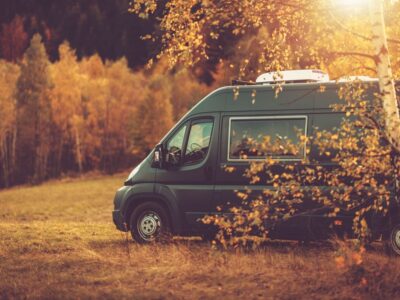 sprinter chauffeur service