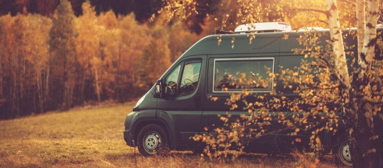 sprinter chauffeur service